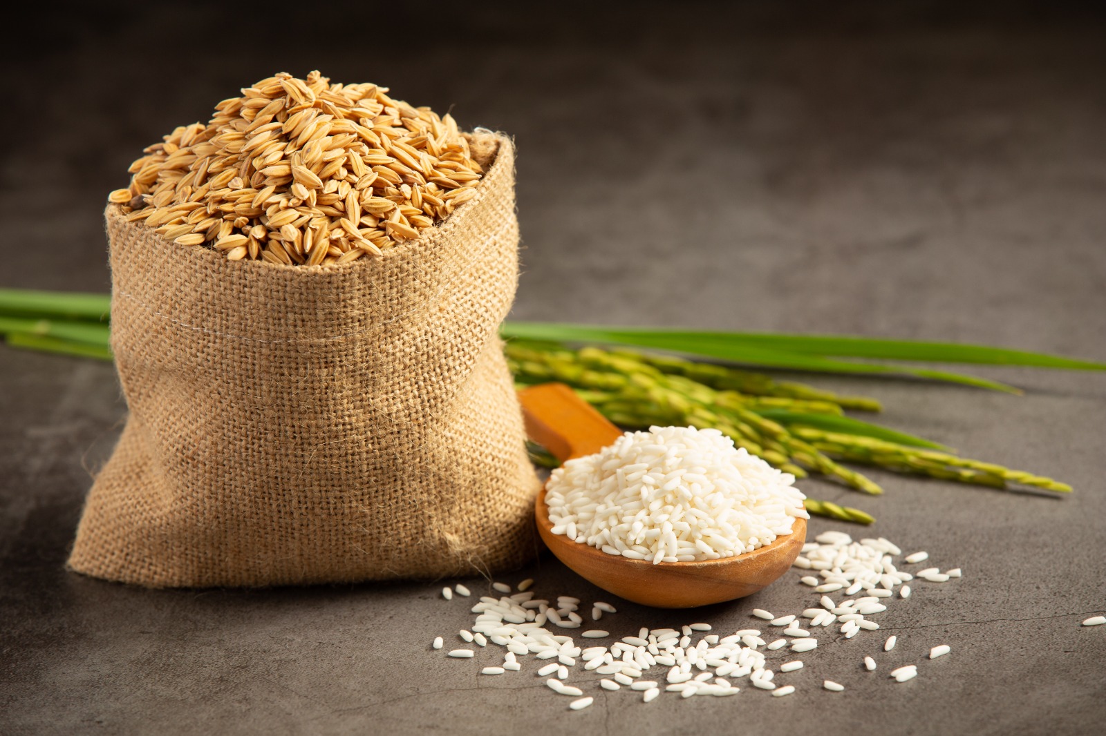 Ponni Rice Quality Banner